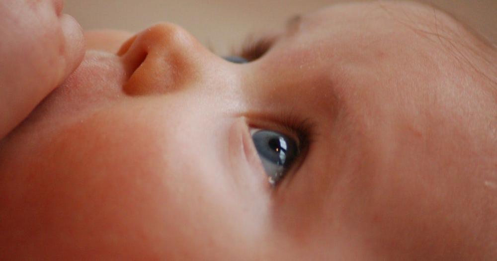 vision bebe